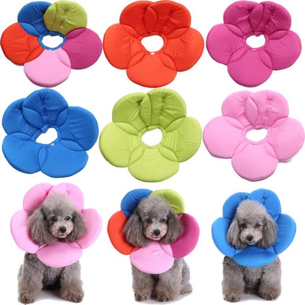 pet елизаветинского воротника собака кошка регулируемого заживление ран e-collar soft конусная смарт конус предотвратить укус довольно
pet елизаветинского воротника собака кошка регулируемого заживление ран e-collar soft конусная смарт конус предотвратить укус довольно