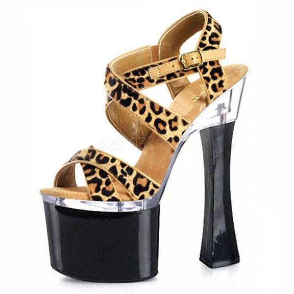classics casual leopard super high thin heels female shoes peep-toe ankle-buckle platform buckle-strap roma sandals big-size, Black
classics casual leopard super high thin heels female shoes peep-toe ankle-buckle platform buckle-strap roma sandals big-size, Black