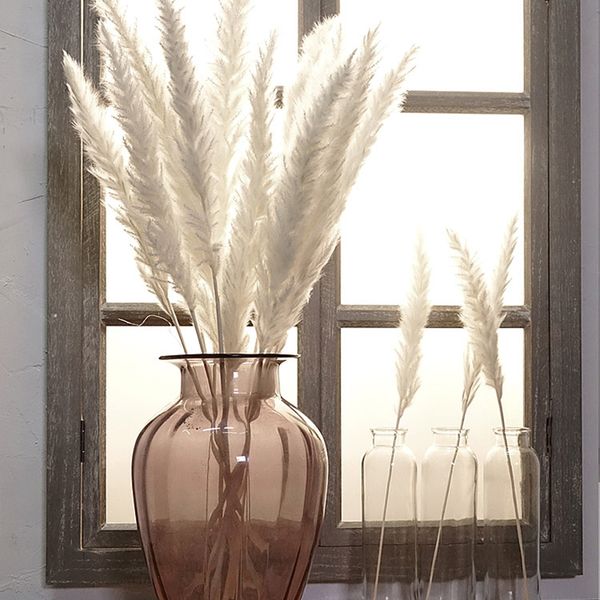 7pcs bulrush natural dried small pampas grass phragmites artificial plants wedding flower bunch for home decor fake flowers
7pcs bulrush natural dried small pampas grass phragmites artificial plants wedding flower bunch for home decor fake flowers