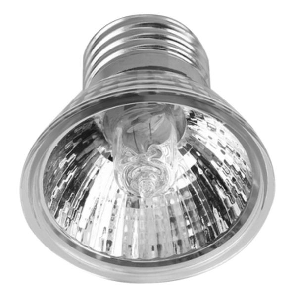 pet supplies uvb reptile light bulb mini pet lamp turtle box lamp calcium supplement lamp for turtles supplies new
pet supplies uvb reptile light bulb mini pet lamp turtle box lamp calcium supplement lamp for turtles supplies new