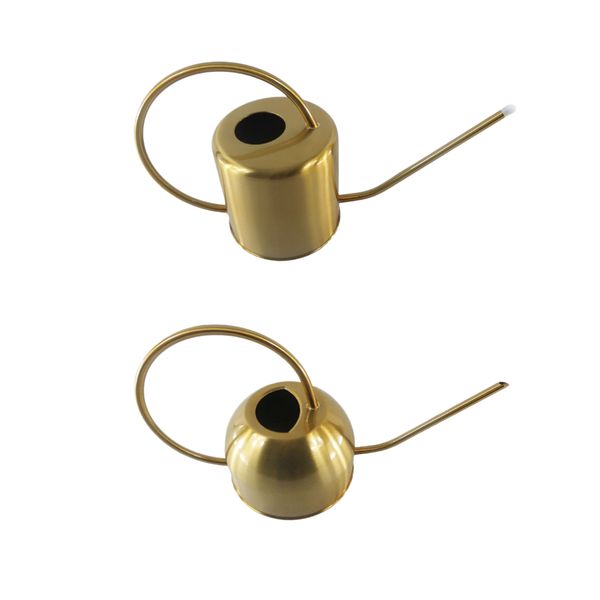 2pcs chic golden stainless steel long spout watering can for outdoor and indoor house plants - 1500ml / 51 oz
2pcs chic golden stainless steel long spout watering can for outdoor and indoor house plants - 1500ml / 51 oz