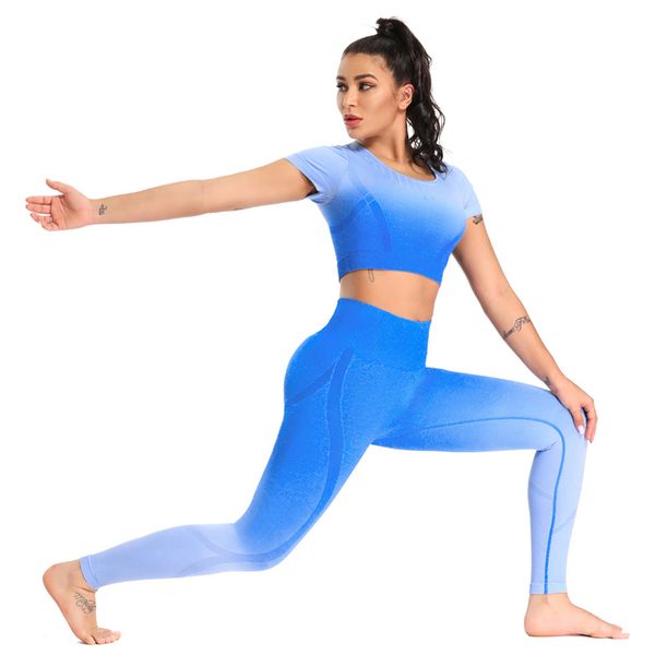 seamless yoga set women fitness clothing sportswea high waist gym leggings+built in bra crop shirt 2 piece workout set, White;red
seamless yoga set women fitness clothing sportswea high waist gym leggings+built in bra crop shirt 2 piece workout set, White;red