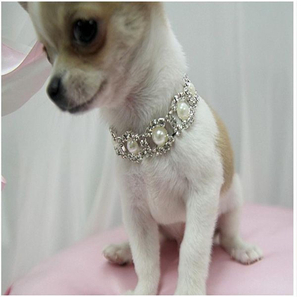 bling rhinestone dog collar dogs pearl necklace alloy diamond necklaces pet collars puppy leashes dogs accessories
bling rhinestone dog collar dogs pearl necklace alloy diamond necklaces pet collars puppy leashes dogs accessories