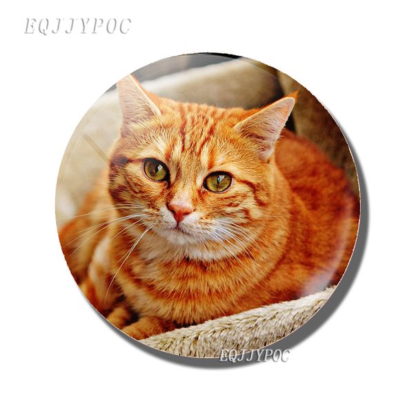 cute cat fridge magnet 50mm glass cabochon fridge sticker message board tigertight felis american shorthair creative home decor
cute cat fridge magnet 50mm glass cabochon fridge sticker message board tigertight felis american shorthair creative home decor
