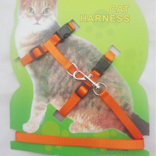 dog home travel durable camping pet accessories cat puppy outdoor walking handheld traction belt
dog home travel durable camping pet accessories cat puppy outdoor walking handheld traction belt