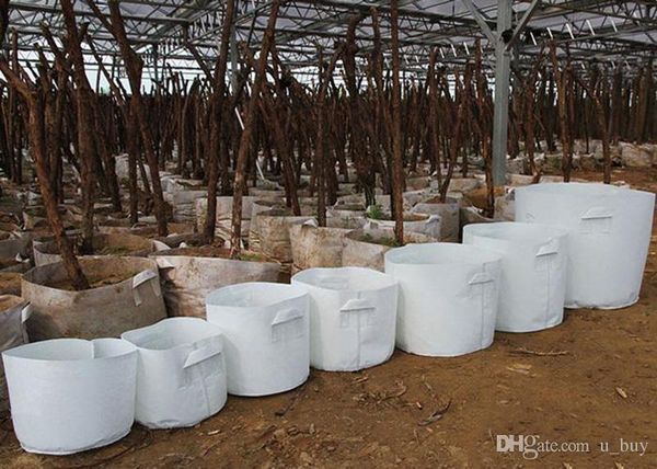 10 size option non-woven fabric reusable soft-sided highly breathable grow pots planting bag with handles price large flower planter
10 size option non-woven fabric reusable soft-sided highly breathable grow pots planting bag with handles price large flower planter
