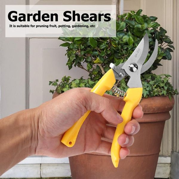 бонсай lawn триммер ножницы branch секатор восхитительное мастерство прочный прочный садоводство завод обрезка shear 
бонсай lawn триммер ножницы branch секатор восхитительное мастерство прочный прочный садоводство завод обрезка shear