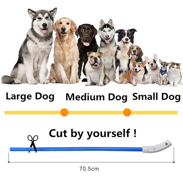 new light bulb usb charging pet dog collar rechargeable led tube flashing luminous puppy cat battery night anti-lost pvc collars
new light bulb usb charging pet dog collar rechargeable led tube flashing luminous puppy cat battery night anti-lost pvc collars
