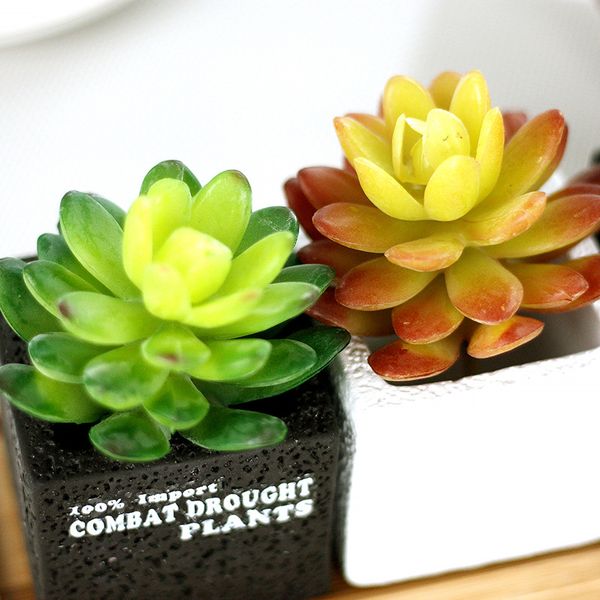 1pcs home decoration lotus bonsai fake flower simulation plant potted ornaments micro landscape crafts small ornaments
1pcs home decoration lotus bonsai fake flower simulation plant potted ornaments micro landscape crafts small ornaments
