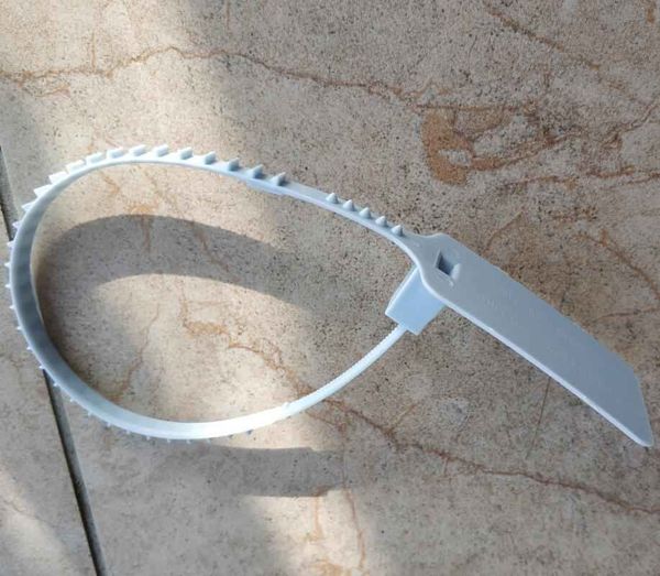 printing 2019 "zip tie" by disposable tm zip tie shoes ow light blue plastic ties seals, Black
printing 2019 "zip tie" by disposable tm zip tie shoes ow light blue plastic ties seals, Black
