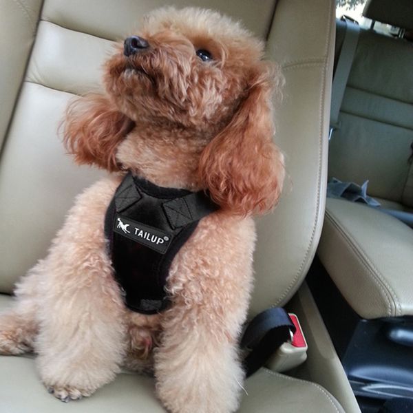 ремень хотдог ремень chest harness vest harness дышащая сетка безопасности автомобиля автомобиль для собак pet cat chest vest харн
ремень хотдог ремень chest harness vest harness дышащая сетка безопасности автомобиля автомобиль для собак pet cat chest vest харн