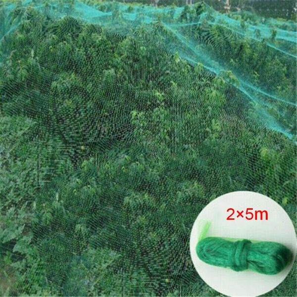colanders & strainers 2*5m strong garden anti bird netting mesh net crop seed flower veg rete uccelli for vegetables
colanders & strainers 2*5m strong garden anti bird netting mesh net crop seed flower veg rete uccelli for vegetables