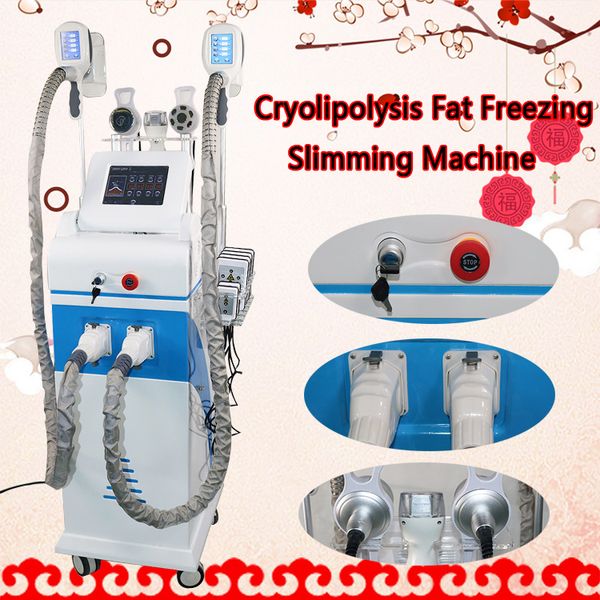 3 fat ing handle ultrasonic vacuum cellulite reduction lipo laser weight loss salon equipment fat ing beauty machin
3 fat ing handle ultrasonic vacuum cellulite reduction lipo laser weight loss salon equipment fat ing beauty machin