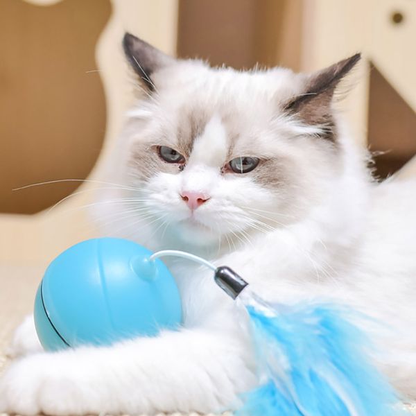 funny led cat ball toys electric automatic rolling ball interactive cat toy replaceable feather pet supplies 2019 new
funny led cat ball toys electric automatic rolling ball interactive cat toy replaceable feather pet supplies 2019 new
