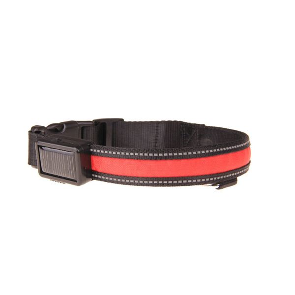 led dog collar flashing light up night safety collar solar powered usb rechargeable waterproof adjustable pet necklace collar
led dog collar flashing light up night safety collar solar powered usb rechargeable waterproof adjustable pet necklace collar