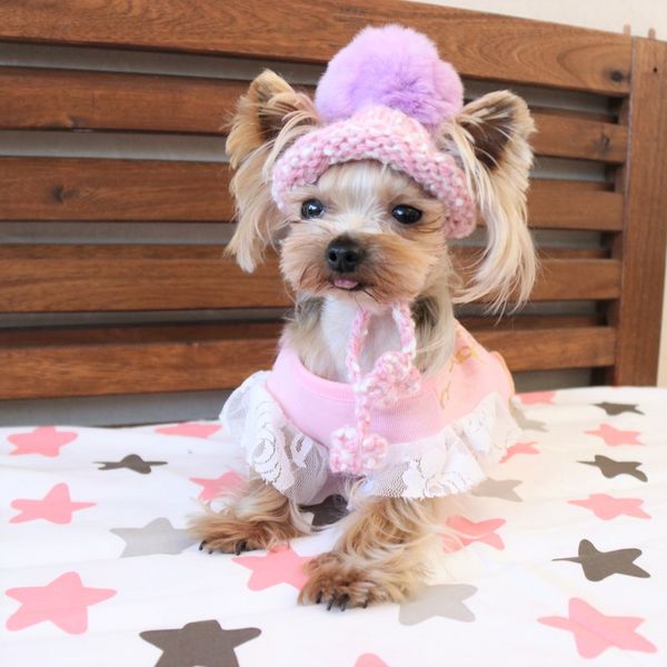 handmade caps knitting purple furry ball kawaii lovely dog hats small pets cats maltese yorkie chihuahua bomei
handmade caps knitting purple furry ball kawaii lovely dog hats small pets cats maltese yorkie chihuahua bomei