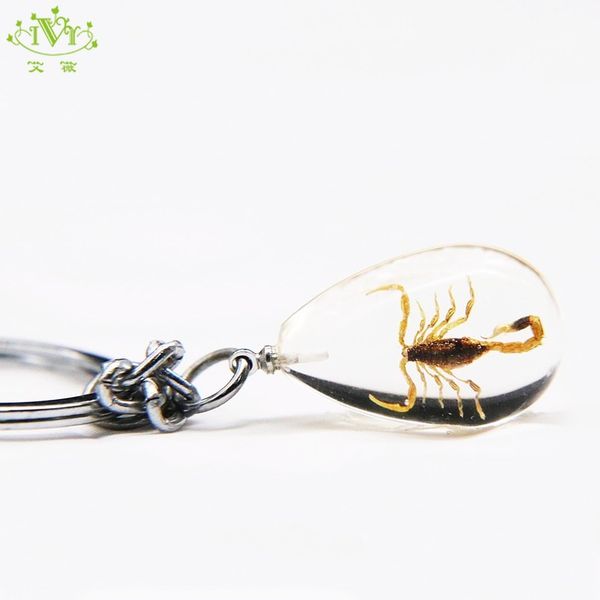 transparent crystal scorpion key chain mini style real insect fashion key rings souvenir gifts for man holder bag pendant, Silver
transparent crystal scorpion key chain mini style real insect fashion key rings souvenir gifts for man holder bag pendant, Silver