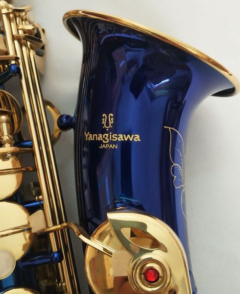 musical instrument new blue alto saxophone japanese brand yanagisawa a-w02 e flat alto saxophone professional ing
musical instrument new blue alto saxophone japanese brand yanagisawa a-w02 e flat alto saxophone professional ing