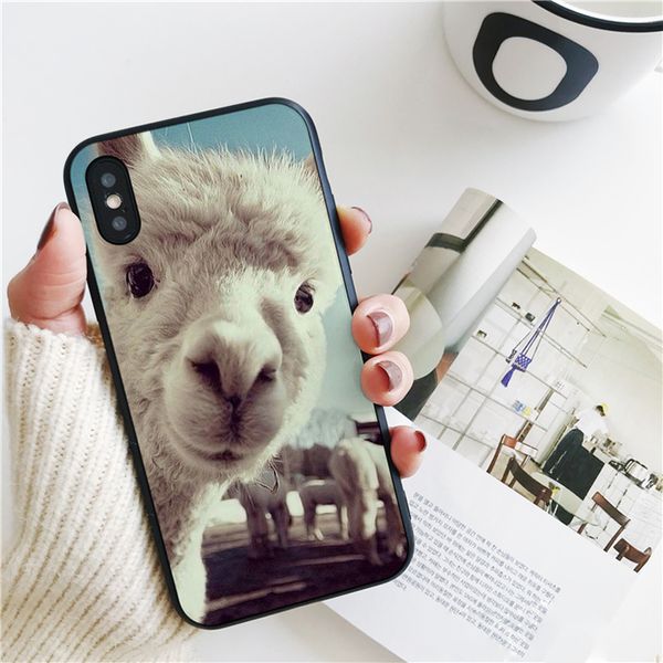 coque luxury goat meme alpaca cover for iphone 11 pro xs max xr case for iphone 8 7 6s plus 5s se case мягкая силиконовая крышка
coque luxury goat meme alpaca cover for iphone 11 pro xs max xr case for iphone 8 7 6s plus 5s se case мягкая силиконовая крышка