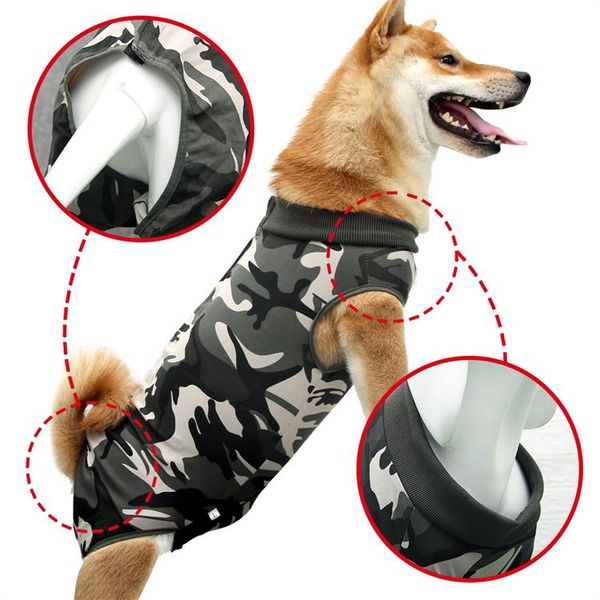 dog tshirt spring and autumn outdoor dog clothing pet warm coat pet supplie dog recovery suit
dog tshirt spring and autumn outdoor dog clothing pet warm coat pet supplie dog recovery suit