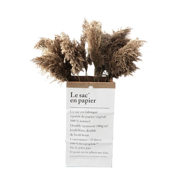 pampas grass decor plants home wedding decor diy dried flowers bunch feather flowers natural phragmites pgraphy props
pampas grass decor plants home wedding decor diy dried flowers bunch feather flowers natural phragmites pgraphy props