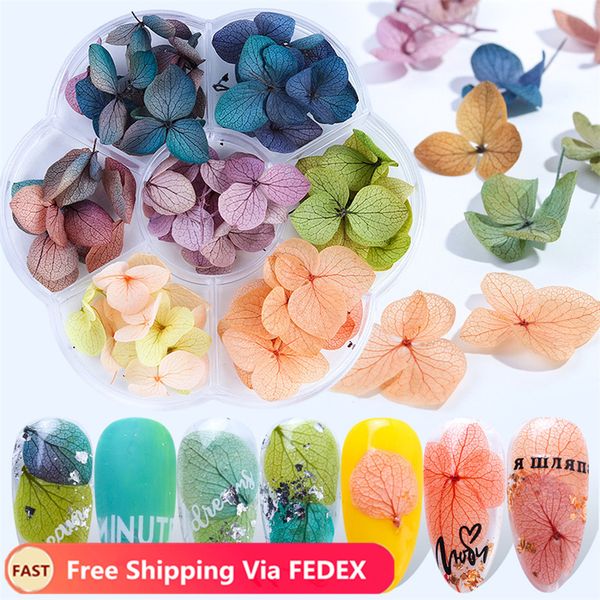 box dried flowers leaf nail decoration gradient petal dry floral sticker 3d acrylic nail art jewelry uv gel tip manicure, Silver;gold
box dried flowers leaf nail decoration gradient petal dry floral sticker 3d acrylic nail art jewelry uv gel tip manicure, Silver;gold