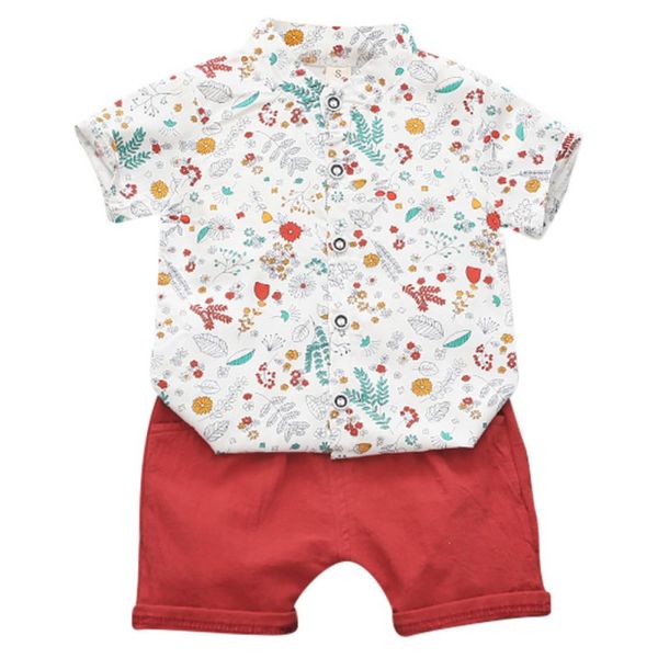2Pcs/set Baby Boy Summer Cotton Small Grass Leaf Plant Print Pattern Stand Collar Short Sleeve + Short Pants Casual Cool Clothes
2Pcs/set Baby Boy Summer Cotton Small Grass Leaf Plant Print Pattern Stand Collar Short Sleeve + Short Pants Casual Cool Clothes