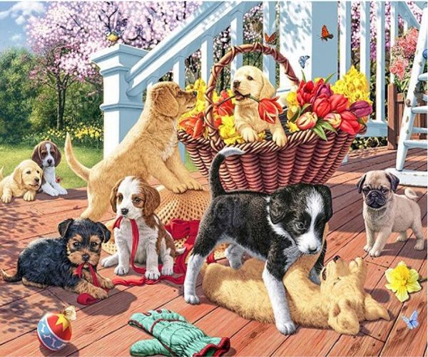 full square/round drill 5d diy diamond painting "dog" embroidery cross stitch mosaic home decor art experience toys gift a0623
full square/round drill 5d diy diamond painting "dog" embroidery cross stitch mosaic home decor art experience toys gift a0623