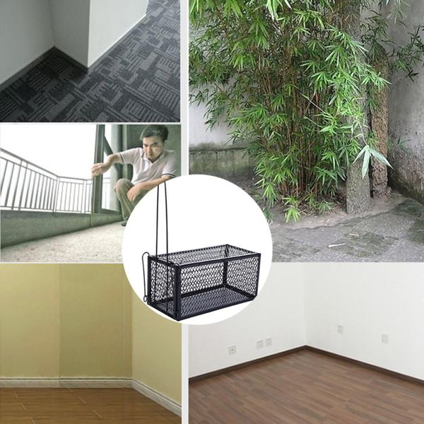 reusable rat trap heavy duty mouse pest animal mice hamster cage control bait rodent repeller catch mousehamster mouse trap
reusable rat trap heavy duty mouse pest animal mice hamster cage control bait rodent repeller catch mousehamster mouse trap