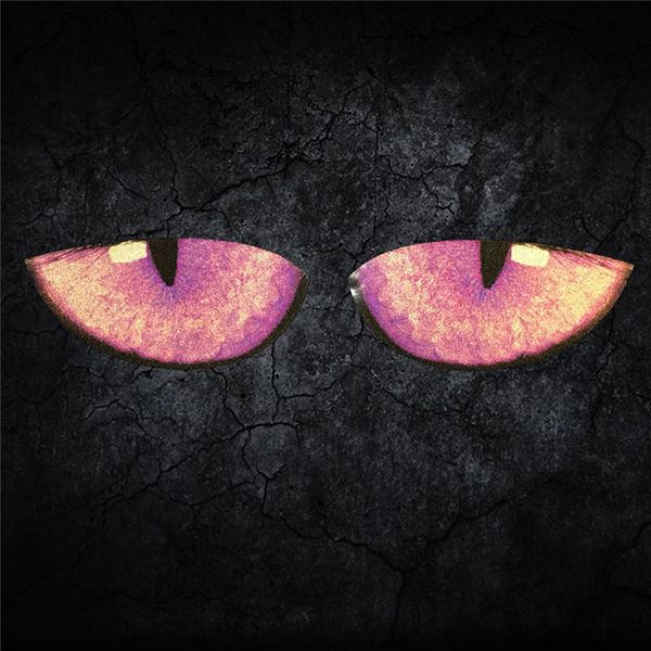 2pcs/set personality cat eyes safety reflective car decals stickers auto body mark labeling automobile exterior accessories
2pcs/set personality cat eyes safety reflective car decals stickers auto body mark labeling automobile exterior accessories