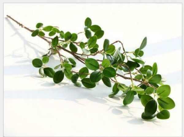 3 pieces lot short branch artificial leaf greenery branches leaves plants home decor simulation green plants
3 pieces lot short branch artificial leaf greenery branches leaves plants home decor simulation green plants
