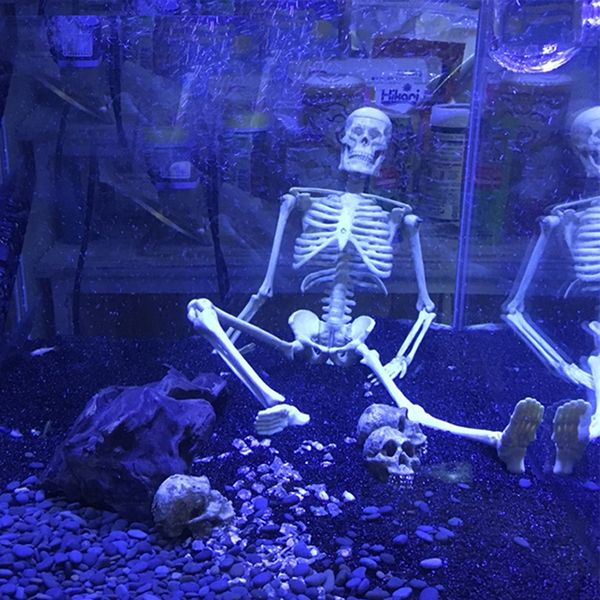 1pcs aquarium human skeleton resin fish tank skull skeleton resin ornament reptile tank fish aquarium decoration
1pcs aquarium human skeleton resin fish tank skull skeleton resin ornament reptile tank fish aquarium decoration