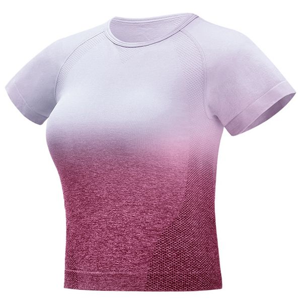 yoga outfits seamless shirts short sleeve crop women sport shirt sports gym tshirt, White;red
yoga outfits seamless shirts short sleeve crop women sport shirt sports gym tshirt, White;red