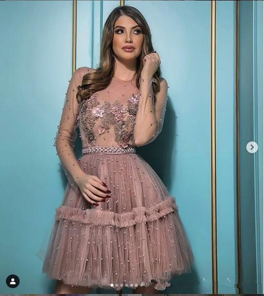 sheer long sleeves tulle short homecoming dresses lace appliques beaded pearls graduations party gowns 2021 vestidos de soiree robe, Blue;pink
sheer long sleeves tulle short homecoming dresses lace appliques beaded pearls graduations party gowns 2021 vestidos de soiree robe, Blue;pink