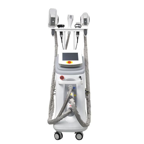 fat ing slimming body sculpting machine with double cryo handles/double chin liposuction head/40k/rf on sale
fat ing slimming body sculpting machine with double cryo handles/double chin liposuction head/40k/rf on sale