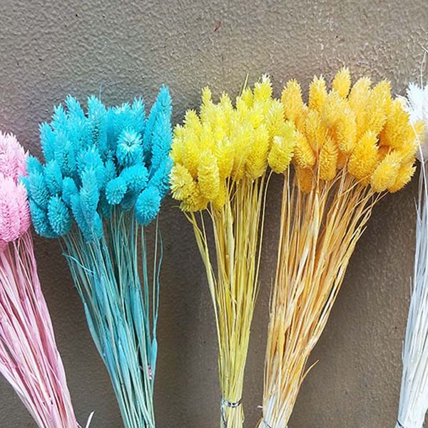 colorful gemstone grass eternal flower gift box flower material shooting props diy auxiliary materials home arrangement flowers
colorful gemstone grass eternal flower gift box flower material shooting props diy auxiliary materials home arrangement flowers