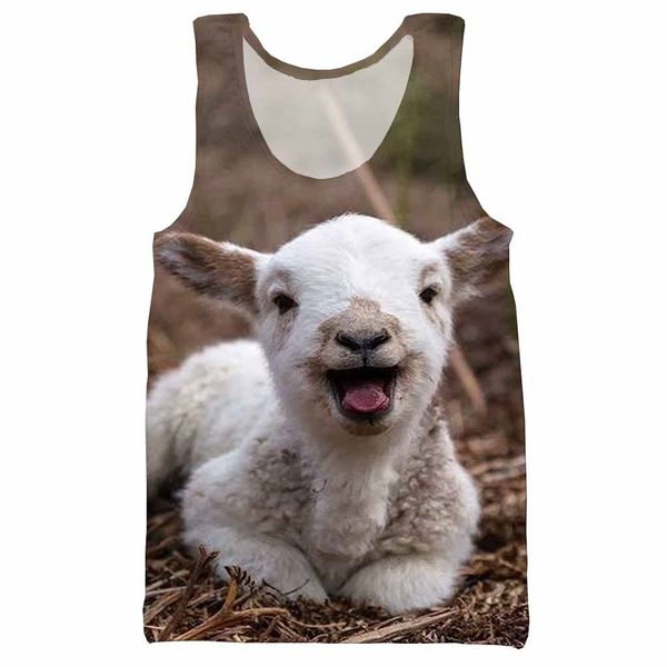 animal lamb goat sheep 3d print tank men fashion cool summer tank work out men women halter, White;black
animal lamb goat sheep 3d print tank men fashion cool summer tank work out men women halter, White;black