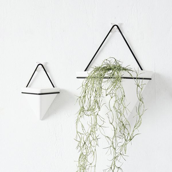 nordic ceramic iron art vase wall hanging flower vase geometric shape flowerpot home decoration accessories bonsai wedding decor
nordic ceramic iron art vase wall hanging flower vase geometric shape flowerpot home decoration accessories bonsai wedding decor