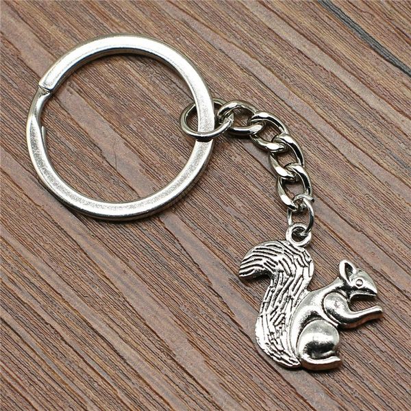 Keyring Squirrel Keychain 21x21mm Antique Silver New Fashion Handmade Metal KeyChain Souvenir Gifts For Women
Keyring Squirrel Keychain 21x21mm Antique Silver New Fashion Handmade Metal KeyChain Souvenir Gifts For Women