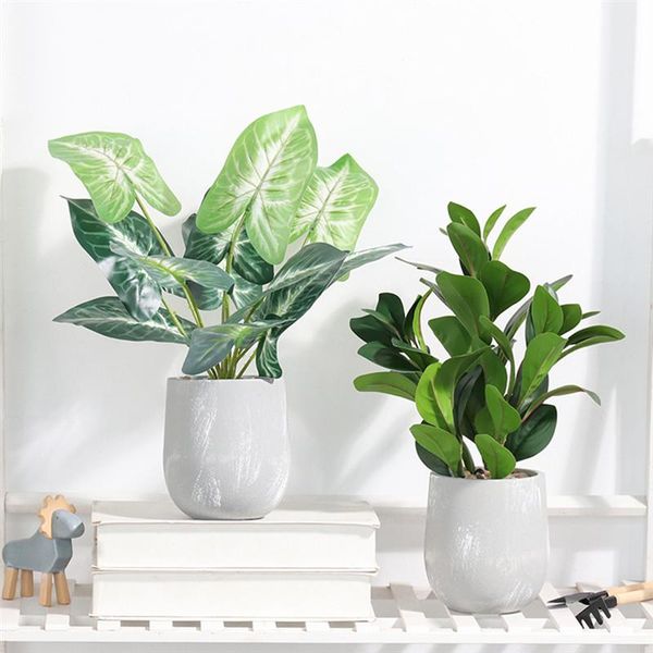 1pc artificial plant adornment simulated cement pot turtle back leaf decor fake bonsai deskdecor for home office
1pc artificial plant adornment simulated cement pot turtle back leaf decor fake bonsai deskdecor for home office