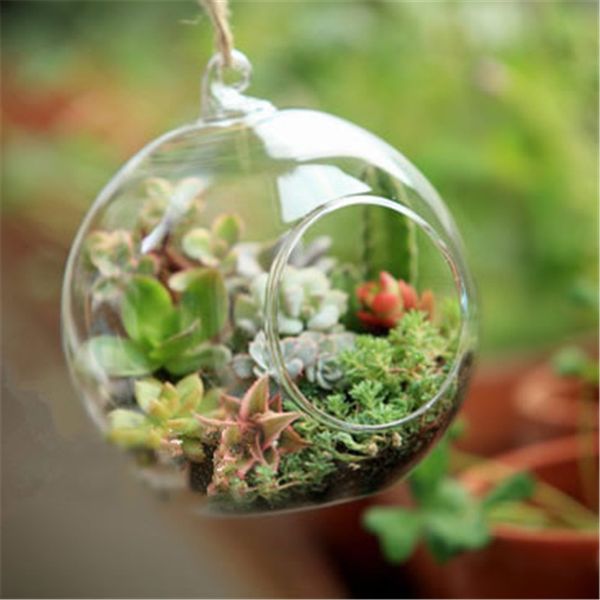 2019 new round suspended glass vase hanging flower multi-flesh plant vase micro-landscape ecological vase wedding decorations hipping
2019 new round suspended glass vase hanging flower multi-flesh plant vase micro-landscape ecological vase wedding decorations hipping
