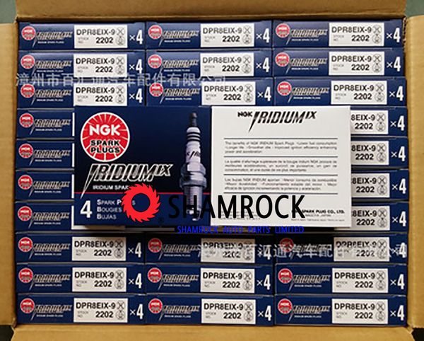original ngk teile laser iraurita spark plugs ngk dpr8eix-9 2202 hhonda nt650v ssuzuki ttriumph yyamaha tdm850 trx850 vmx-121200
original ngk teile laser iraurita spark plugs ngk dpr8eix-9 2202 hhonda nt650v ssuzuki ttriumph yyamaha tdm850 trx850 vmx-121200