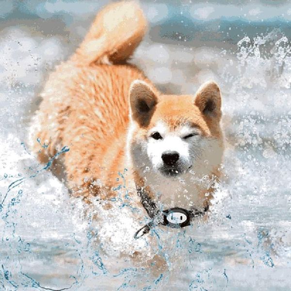 car mini gps tracker localizador gps locator waterproof anti lost locator for pet dog cat car motorcycle vehicle tracking device
car mini gps tracker localizador gps locator waterproof anti lost locator for pet dog cat car motorcycle vehicle tracking device