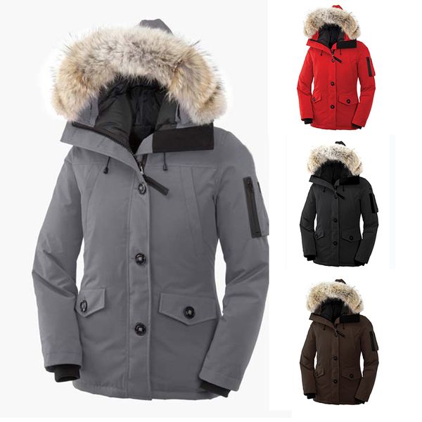 женская дизайнерская зимние пальто вольфа волос зимние куртки женщины повседневная утолщение теплый вниз одежда женщины гусь пуховик зимнее, Black
женская дизайнерская зимние пальто вольфа волос зимние куртки женщины повседневная утолщение теплый вниз одежда женщины гусь пуховик зимнее, Black