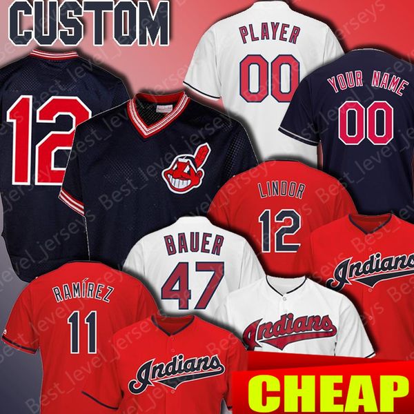 Cleveland Custom Indians jersey 12 Francisco Lindor Jersey 28 Corey Kluber 30 Joe Carter 10 Edwin Encarnacion Jason Kipnis Trevor Bauer
Cleveland Custom Indians jersey 12 Francisco Lindor Jersey 28 Corey Kluber 30 Joe Carter 10 Edwin Encarnacion Jason Kipnis Trevor Bauer