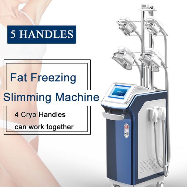 fat ing machine professional weight loss body shaper cool tech fat e slimming machine 4 handles can work together
fat ing machine professional weight loss body shaper cool tech fat e slimming machine 4 handles can work together