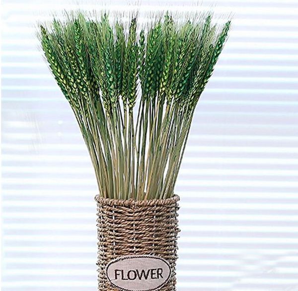 20pcs природные осень пшеницы цветочный букет венок поддельные цветы diy scrapbookinghome gardenwedding украшение партии новая продажи
20pcs природные осень пшеницы цветочный букет венок поддельные цветы diy scrapbookinghome gardenwedding украшение партии новая продажи
