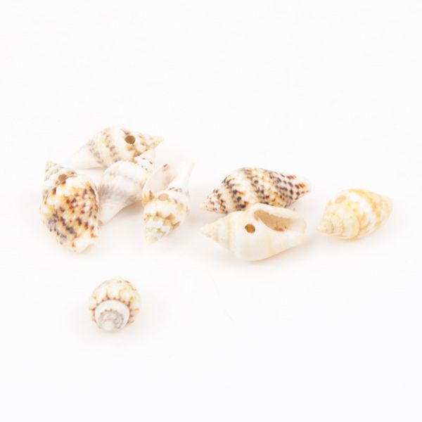 leopard pattern natural spiral seashell concha do mar scrapbook craft supplies for home decoration diy 13-16mm 50pcs trs0057 other home deco
leopard pattern natural spiral seashell concha do mar scrapbook craft supplies for home decoration diy 13-16mm 50pcs trs0057 other home deco