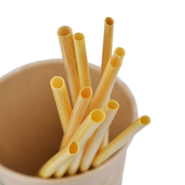100pcs/pack biodegradable wheat organic disposable birthday kitchen supplies drinking straw non toxic eco friendly bar milk tea
100pcs/pack biodegradable wheat organic disposable birthday kitchen supplies drinking straw non toxic eco friendly bar milk tea