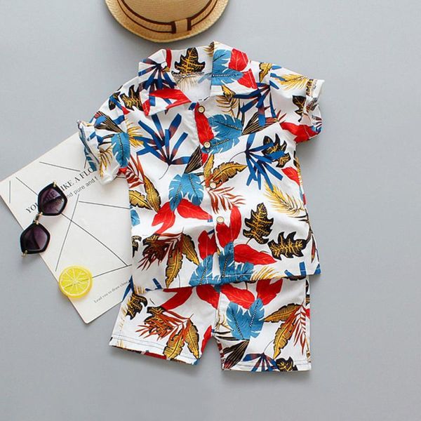boys clothes set summer children clothing suit floral print shorts kids boys outfit set casual beach vacation clothing, White
boys clothes set summer children clothing suit floral print shorts kids boys outfit set casual beach vacation clothing, White